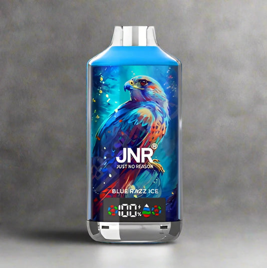 JNR - Blue Razz Ice - 18k puff Switch vapes in Pakistan