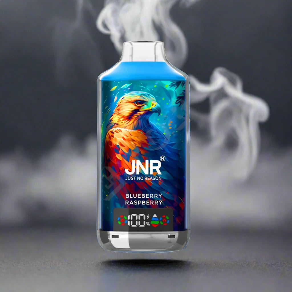 JNR - Blueberry Raspberry - 18k puff Switch vapes