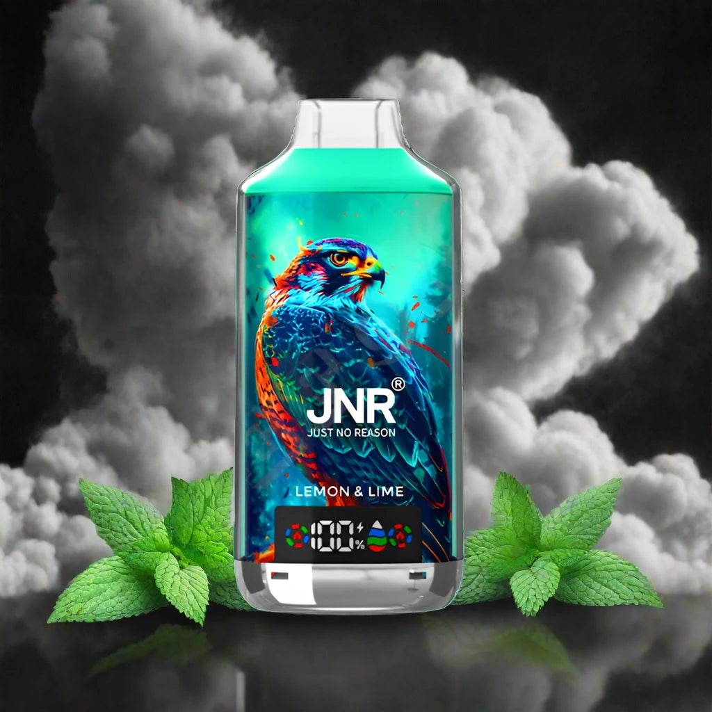 JNR - Cool Mint - 18k puff Switch vapes in Pakistan