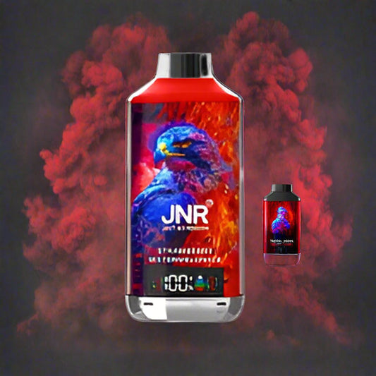 JNR - Strawberry Watermelon Ice - 18k puff Switch vapes in Pakistan